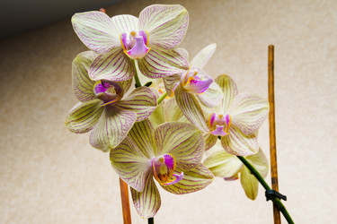 Similar image 22518945