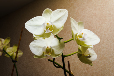 Similar image 22519024