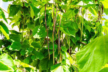 Similar image 22519025