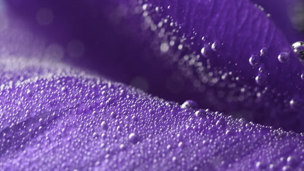 Similar image 22482142