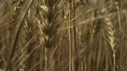 Similar image 22482200