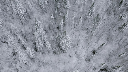 Similar image 22482350