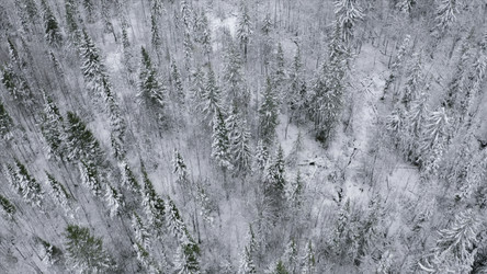 Similar image 22482575