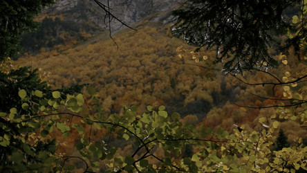 Similar image 22489727