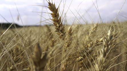 Similar image 22489755