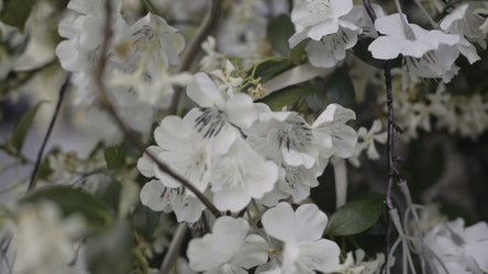 Similar image 22489786