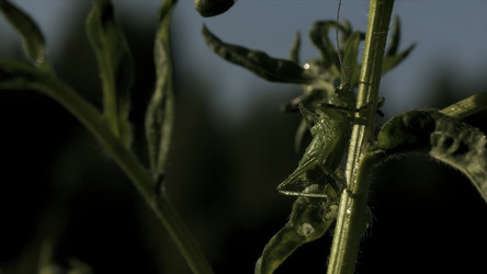 Similar image 22489846