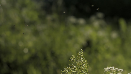 Similar image 22499967