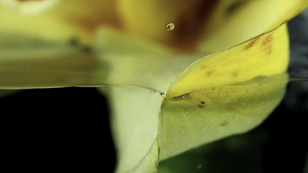 Similar image 22500073