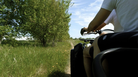 Similar image 22500387