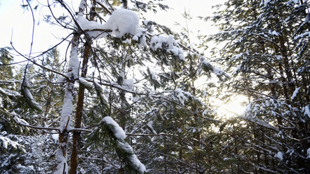 Similar image 22500434