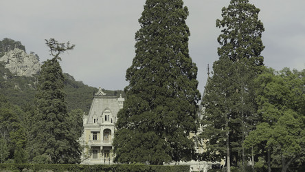 Similar image 22500448