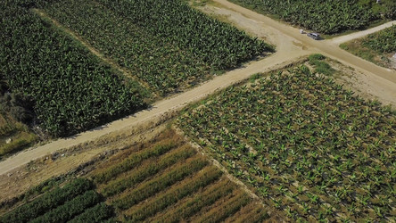 Similar image 22500478