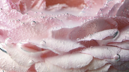 Similar image 22480898