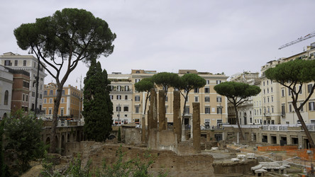 Similar image 22480988