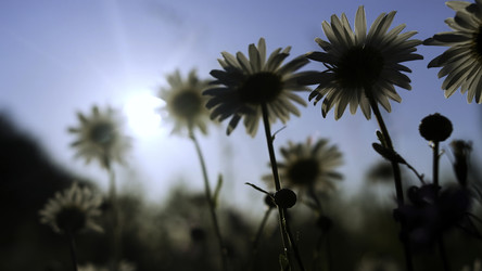 Similar image 22481018