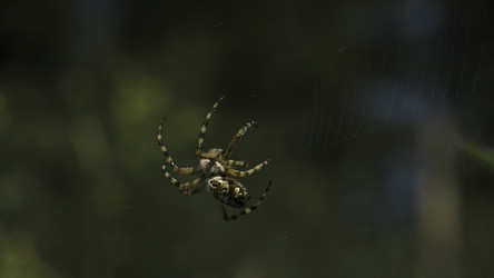 Similar image 22481559