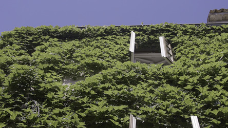 Similar image 22481663