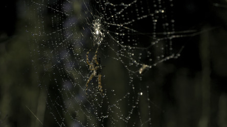 Similar image 22481692