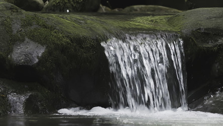 Similar image 22481752