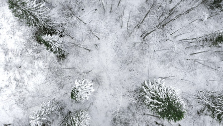 Similar image 22481827