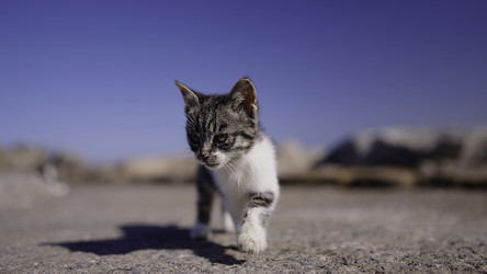 Similar image 22481947