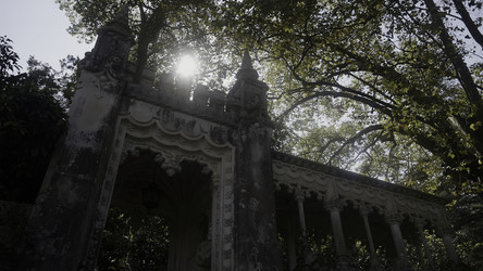 Similar image 22481992