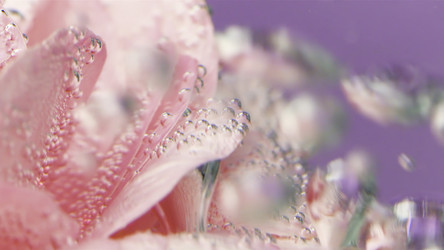 Similar image 22482038