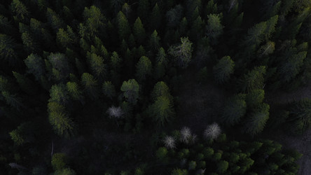 Similar image 22482127