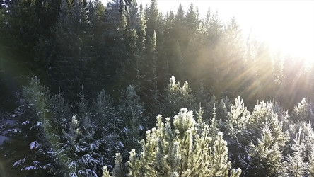 Similar image 22482382