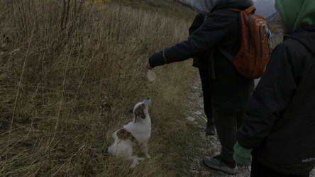 Similar image 22482486