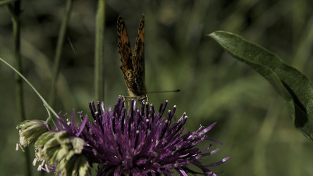 Similar image 22482591