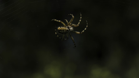 Similar image 22489728