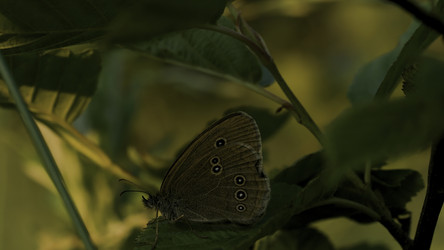 Similar image 22489757