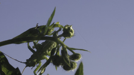 Similar image 22489832