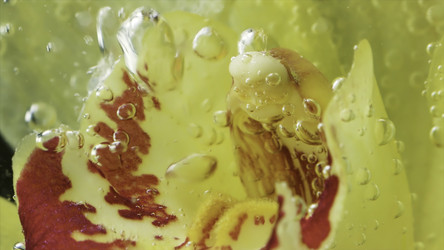 Similar image 22489847