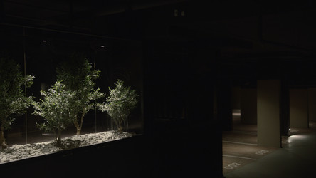 Similar image 22499954