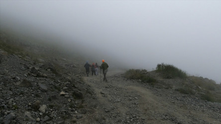 Similar image 22499955