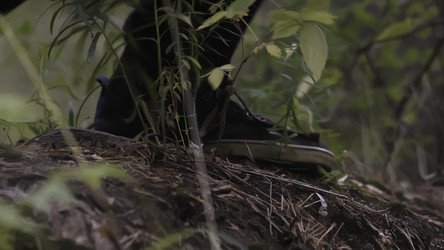 Similar image 22500105