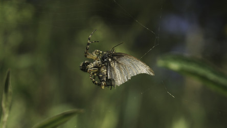 Similar image 22500147