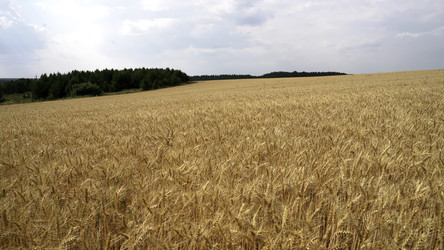 Similar image 22500210