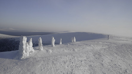 Similar image 22500252