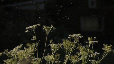 Similar image 22500253