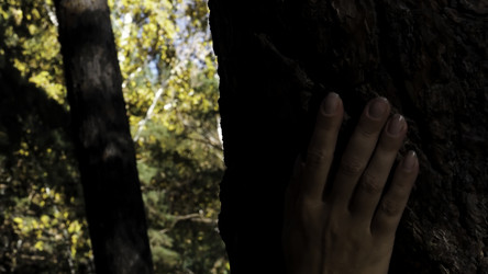 Similar image 22500269