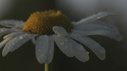 Similar image 22500283