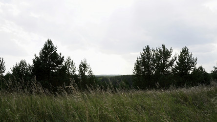 Similar image 22500299