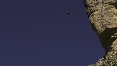 Similar image 22500300