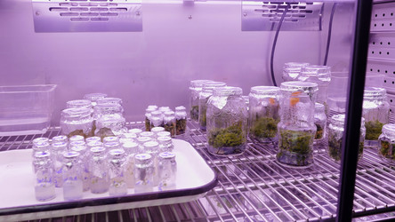 Similar image 22500327