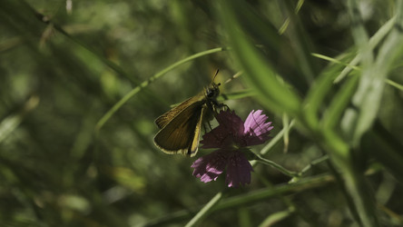 Similar image 22500358