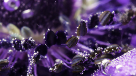 Similar image 22500480